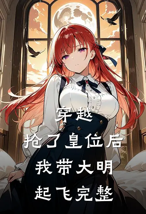 穿越抢了皇位后,我带大明起飞完整