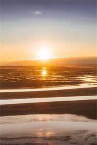 绝字入归鸟推荐