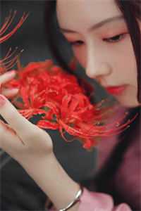 婉星碎尽，旧梦难寻的小说