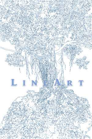 无妨水月镜中花未删节