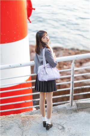 她曾把光藏入怀阅读