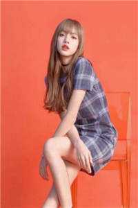 旧风未散的夏天热门小说